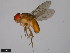  ( - 15112-1751.00)  @11 [ ] CreativeCommons - Attribution Non-Commercial Share-Alike (2011) ANIC/CBG Photography Group ANIC/Centre for Biodiversity Genomics