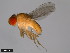  ( - 15112-1811.00)  @11 [ ] CreativeCommons - Attribution Non-Commercial Share-Alike (2011) ANIC/CBG Photography Group ANIC/Centre for Biodiversity Genomics