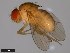  ( - 15112-1811.04)  @11 [ ] CreativeCommons - Attribution Non-Commercial Share-Alike (2011) ANIC/CBG Photography Group ANIC/Centre for Biodiversity Genomics