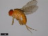  ( - 15112-1811.05)  @11 [ ] CreativeCommons - Attribution Non-Commercial Share-Alike (2011) ANIC/CBG Photography Group ANIC/Centre for Biodiversity Genomics