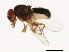 ( - 14011-0111.01)  @11 [ ] CreativeCommons - Attribution Non-Commercial Share-Alike (2010) CBG Photography Group Centre for Biodiversity Genomics
