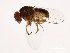  ( - 14011-0111.48)  @11 [ ] CreativeCommons - Attribution Non-Commercial Share-Alike (2010) CBG Photography Group Centre for Biodiversity Genomics