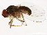  ( - 14011-0111.49)  @11 [ ] CreativeCommons - Attribution Non-Commercial Share-Alike (2010) CBG Photography Group Centre for Biodiversity Genomics