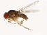  ( - 14011-0111.50)  @11 [ ] CreativeCommons - Attribution Non-Commercial Share-Alike (2010) CBG Photography Group Centre for Biodiversity Genomics