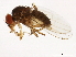  ( - 14011-0111.51)  @11 [ ] CreativeCommons - Attribution Non-Commercial Share-Alike (2010) CBG Photography Group Centre for Biodiversity Genomics