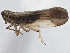  ( - CCDB-21319-D07)  @14 [ ] CreativeCommons - Attribution (2013) CBG Photography Group Centre for Biodiversity Genomics