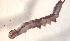  ( - v790 WCC)  @12 [ ] Copyright (2008) Unspecified University of Delaware