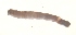  ( - v791 WCC)  @12 [ ] Copyright (2008) Unspecified University of Delaware