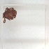  ( - NMNH-2023-039-B08)  @11 [ ] No Rights Reserved (2023) Yvonne Linton Smithsonian Institution National Museum of Natural History