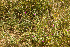 ( - H6_K1207_Unknown_sp)  @11 [ ] CreativeCommons - Attribution Non-Commercial Share-Alike (2014) Dr. Robert Pringle Mpala Research Centre