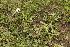 ( - A7_K1207_Unknown_sp)  @11 [ ] CreativeCommons - Attribution Non-Commercial Share-Alike (2014) Dr. Robert Pringle Mpala Research Centre