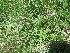  ( - G7_K1214_Unknown_sp)  @11 [ ] CreativeCommons - Attribution Non-Commercial Share-Alike (2014) Dr. Robert Pringle Mpala Research Centre