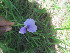  ( - G7_K1214_Unknown_sp)  @11 [ ] CreativeCommons - Attribution Non-Commercial Share-Alike (2014) Dr. Robert Pringle Mpala Research Centre