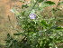  ( - B2_K1212_Unknown_sp)  @11 [ ] CreativeCommons - Attribution Non-Commercial Share-Alike (2014) Dr. Robert Pringle Mpala Research Centre