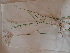  ( - TK1_F2_SI)  @11 [ ] CreativeCommons - Attribution Non-Commercial Share-Alike (2017) Unspecified Mpala Research Centre
