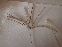  ( - TK1_F2_SI)  @11 [ ] CreativeCommons - Attribution Non-Commercial Share-Alike (2017) Unspecified Mpala Research Centre