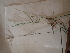  ( - TK1_F2_SI)  @11 [ ] CreativeCommons - Attribution Non-Commercial Share-Alike (2017) Unspecified Mpala Research Centre