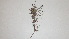 ( - TK1_H6_SI)  @11 [ ] CreativeCommons - Attribution Non-Commercial Share-Alike (2017) Unspecified Mpala Research Centre
