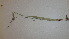  ( - TK1_G8_FIELD)  @11 [ ] CreativeCommons - Attribution Non-Commercial Share-Alike (2017) Unspecified Mpala Research Centre