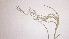  ( - TK1_G8_FIELD)  @11 [ ] CreativeCommons - Attribution Non-Commercial Share-Alike (2017) Unspecified Mpala Research Centre