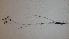  ( - TK1_B11_SI)  @11 [ ] CreativeCommons - Attribution Non-Commercial Share-Alike (2017) Unspecified Mpala Research Centre