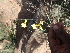  ( - TK1_H12_FIELD)  @11 [ ] CreativeCommons - Attribution Non-Commercial Share-Alike (2017) Unspecified Mpala Research Centre