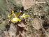  ( - TK1_H12_FIELD)  @11 [ ] CreativeCommons - Attribution Non-Commercial Share-Alike (2017) Unspecified Mpala Research Centre