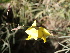  ( - TK1_H12_FIELD)  @11 [ ] CreativeCommons - Attribution Non-Commercial Share-Alike (2017) Unspecified Mpala Research Centre