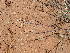  ( - TK2_D1_FIELD)  @11 [ ] CreativeCommons - Attribution Non-Commercial Share-Alike (2017) Unspecified Mpala Research Centre
