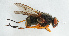  ( - NHMUK014036769)  @11 [ ] Unspecified (default): All Rights Reserved  Ben W Price Natural History Museum, London