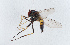  ( - NHMUK014111556)  @11 [ ] Unspecified (default): All Rights Reserved  Ben W Price Natural History Museum, London