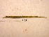  ( - KUT 5634)  @13 [ ] Unspecified (default): All Rights Reserved  University of Kansas Biodiversity Institute (KUBI) Unspecified
