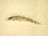  ( - KUT 5963)  @12 [ ] Unspecified (default): All Rights Reserved  University of Kansas Biodiversity Institute (KUBI) Unspecified