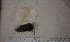  ( - VS_M10)  @11 [ ] Copyright (2020) Unspecified University of KwaZulu-Natal