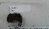  ( - VS_M28)  @11 [ ] Copyright (2020) Unspecified University of KwaZulu-Natal