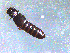  ( - BG19010)  @11 [ ] CreativeCommons  Attribution Non-Commercial (by-nc) (2019) Brigitte Gottsberger University of Vienna