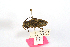  (Dorcadion sp - CCDB32177-B01)  @11 [ ] Copyright (2019) Unspecified Universite Saint-Joseph
