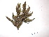  ( - GWS005761)  @11 [ ] Unspecified (default): All Rights Reserved  Unspecified Unspecified