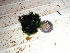  ( - GWS012673)  @11 [ ] CreativeCommons - Attribution Non-Commercial Share-Alike (2010) Unspecified University of New Brunswick