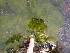  ( - GWS012847)  @11 [ ] CreativeCommons - Attribution Non-Commercial Share-Alike (2010) Unspecified University of New Brunswick