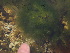  ( - GWS013265)  @11 [ ] CreativeCommons - Attribution Non-Commercial Share-Alike (2010) Unspecified University of New Brunswick
