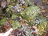  ( - GWS013513)  @11 [ ] CreativeCommons - Attribution Non-Commercial Share-Alike (2010) Unspecified University of New Brunswick