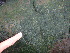  ( - GWS013884)  @11 [ ] CreativeCommons - Attribution Non-Commercial Share-Alike (2010) Unspecified University of New Brunswick