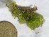  (Boodlea - GWS025874)  @11 [ ] Unspecified (default): All Rights Reserved  Unspecified Unspecified