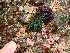  ( - GWS035280)  @11 [ ] Unspecified (default): All Rights Reserved  Unspecified Unspecified