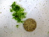  ( - GWS036940)  @11 [ ] Unspecified (default): All Rights Reserved  Unspecified Unspecified