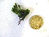  ( - GWS036961)  @11 [ ] Unspecified (default): All Rights Reserved  Unspecified Unspecified