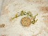  ( - GWS037764)  @11 [ ] Unspecified (default): All Rights Reserved  Unspecified Unspecified