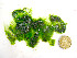  ( - GWS037950A)  @11 [ ] Unspecified (default): All Rights Reserved  Unspecified Unspecified