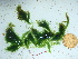  ( - GWS042470)  @11 [ ] Unspecified (default): All Rights Reserved  Unspecified Unspecified